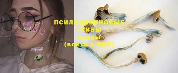 гашик Арсеньев