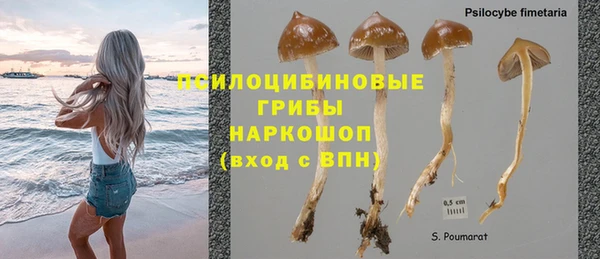 гашик Арсеньев