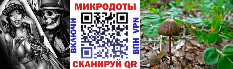 mega ТОР  Георгиевск  Галлюциногенные грибы MAGIC MUSHROOMS  купить наркотик 