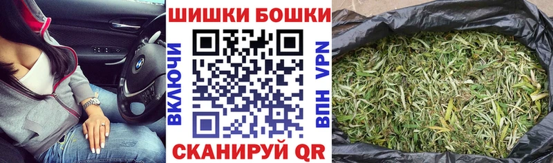 Бошки Шишки сатива цена Георгиевск